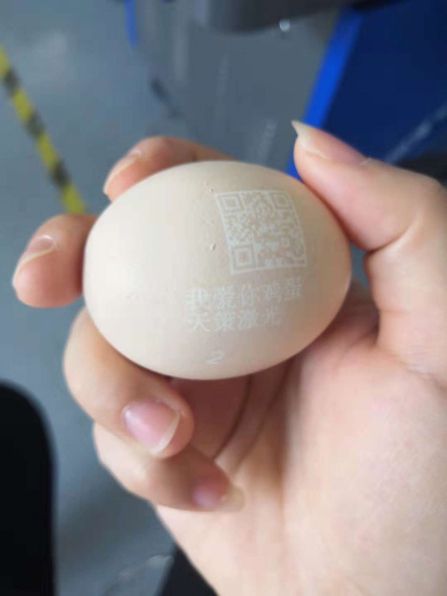 雞蛋打標5