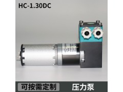 HC1.30DC.M美創力噴碼機有刷壓力泵微型高壓泵