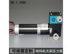HC 1.30DCB.M美創立噴碼機無刷壓力泵,萊賓格壓力泵