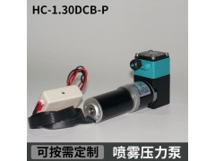 HC1.30DCB-P尿素噴霧壓力泵南華噴碼機高壓泵