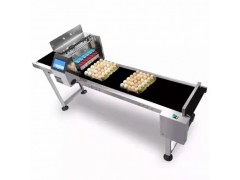 6頭雞蛋噴碼系統