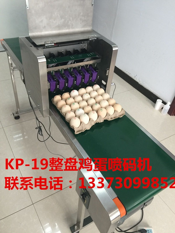 河北邢臺科力普整盤雞蛋六噴頭噴碼機打碼機高速便捷國內外供應